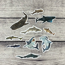 Load image into Gallery viewer, Shark Week Weekly Sticker Kit