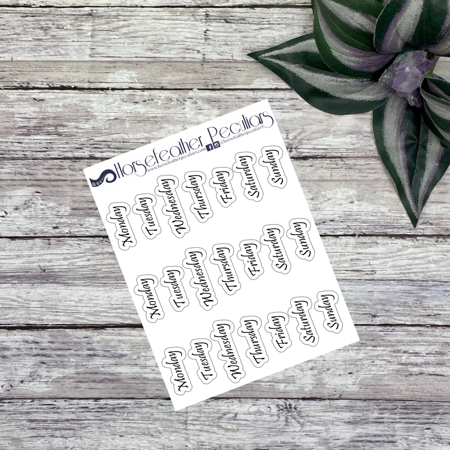 Days of the Week Planner Stickers