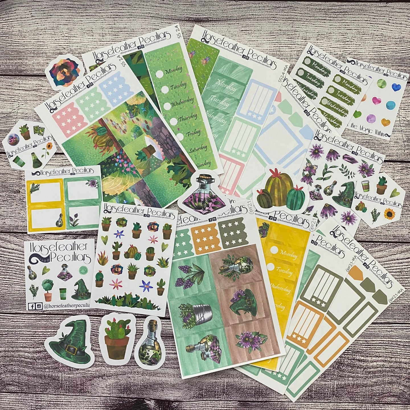 Green Succulent Witch Deco Kit Loot Bag