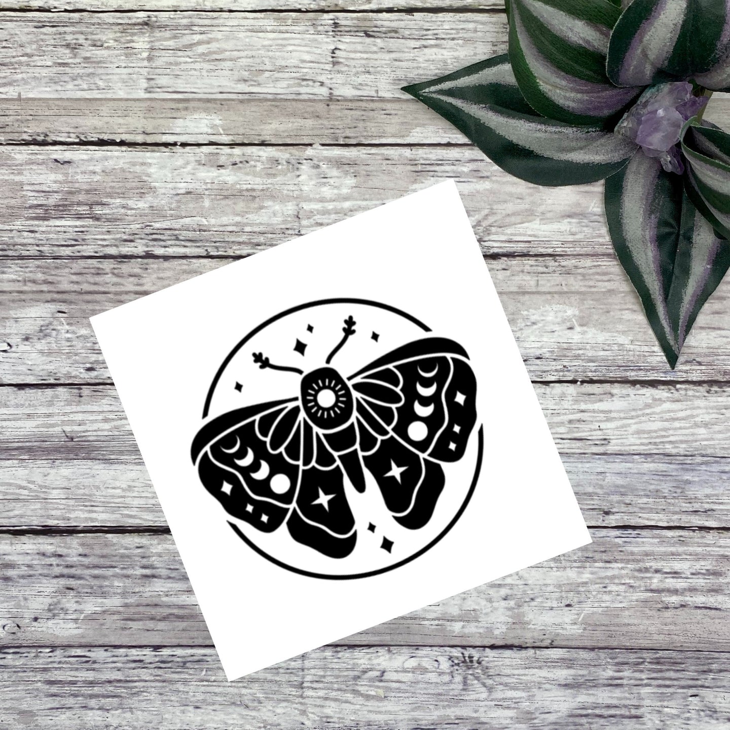 Mystical Moth Vinyl Decal