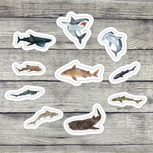 Load image into Gallery viewer, Shark Week Weekly Sticker Kit