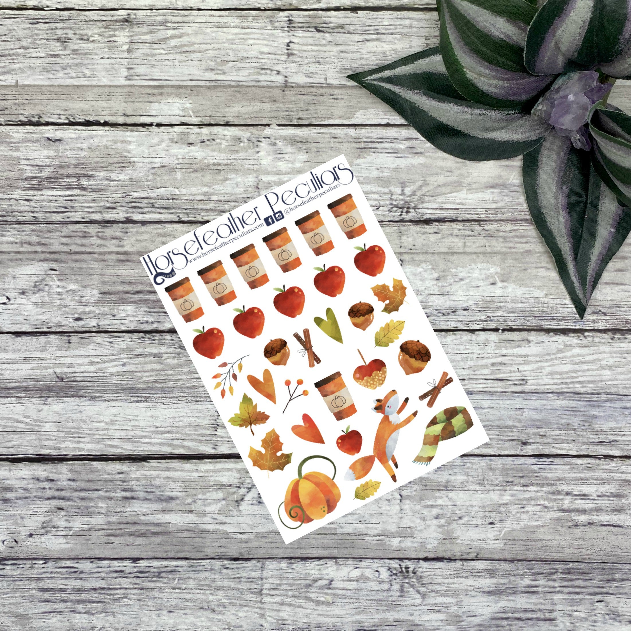 Feathery Fall - Watercolor Planner Stickers - Monthly Miniboxes