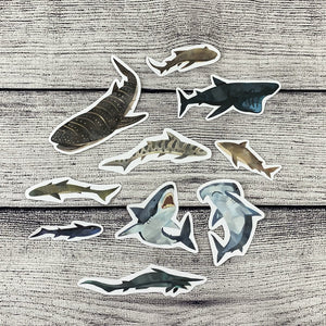 Shark Diecut Stickers