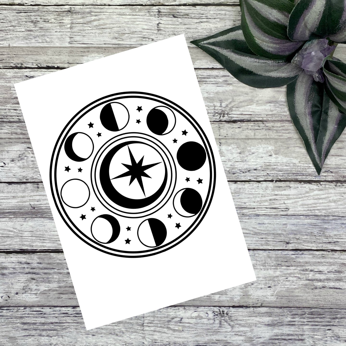 Moon Phases 1 Vinyl Decal